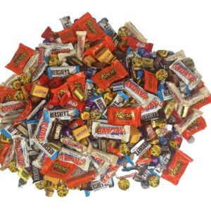 Assorted Chocolate Candy Variety Pack - 1.5 Lb Bulk Chocolate Mix - Hershey - Individually Wrapped - Easter Candy