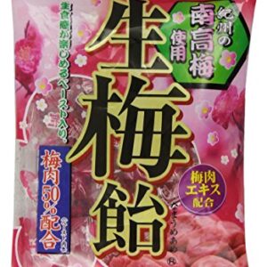 Ribon Nama Ume Plum Hard Candy 3.87 Ounce - Premium Japanese Plum Paste Filled Treat